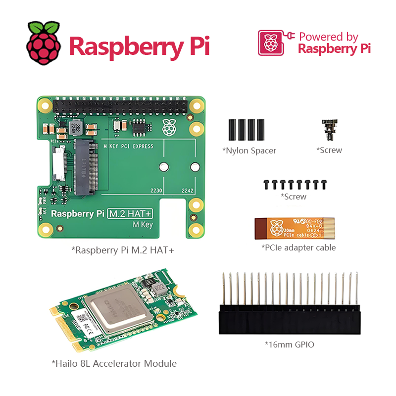 Kit AI Raspberry Pi menggabung - Raspberry Pi Ai Kit Hailo-8L ulasan dan harga